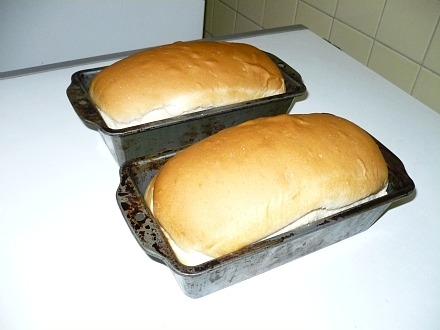 Recipes how to bake bread
