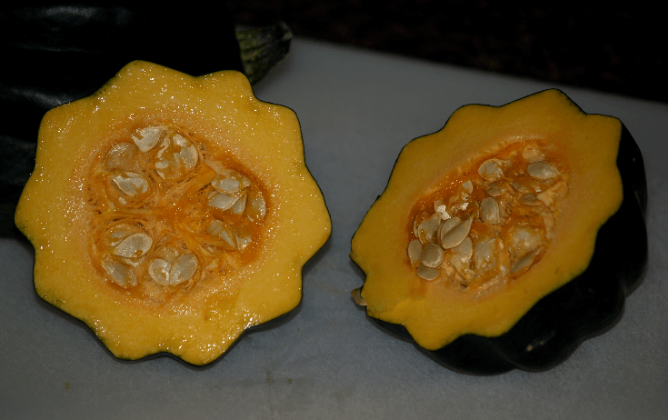 Cut Acorn Squash