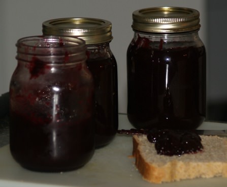 Blackberry Jam Recipe