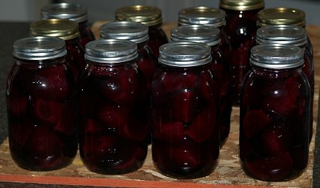 beets canned pickled canning recipe