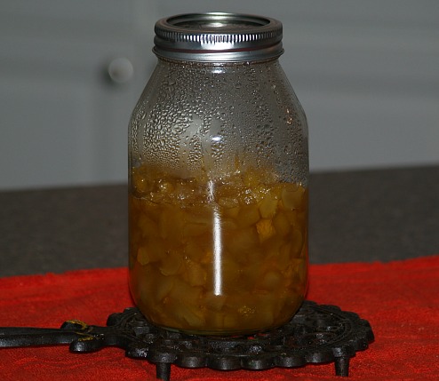 Storing Citron in a Jar