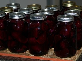 Canning Beets