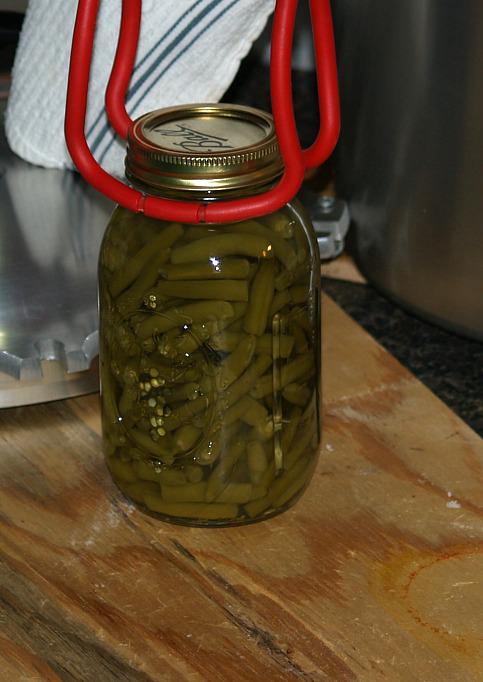 Canning Beans