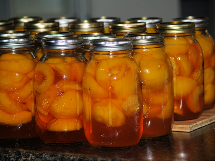 Canned Peaches