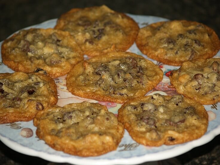 Chocolate Chip Raisin Coconut Cookies