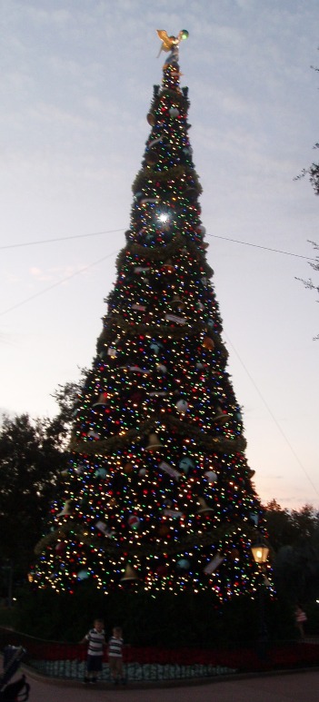 outdoor  christmas tree
