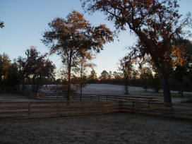 light snow dusted on the pastures calls for cold weather recipes