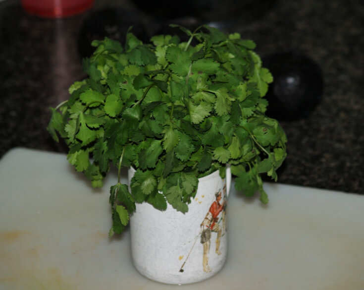 Cooking with Cilantro