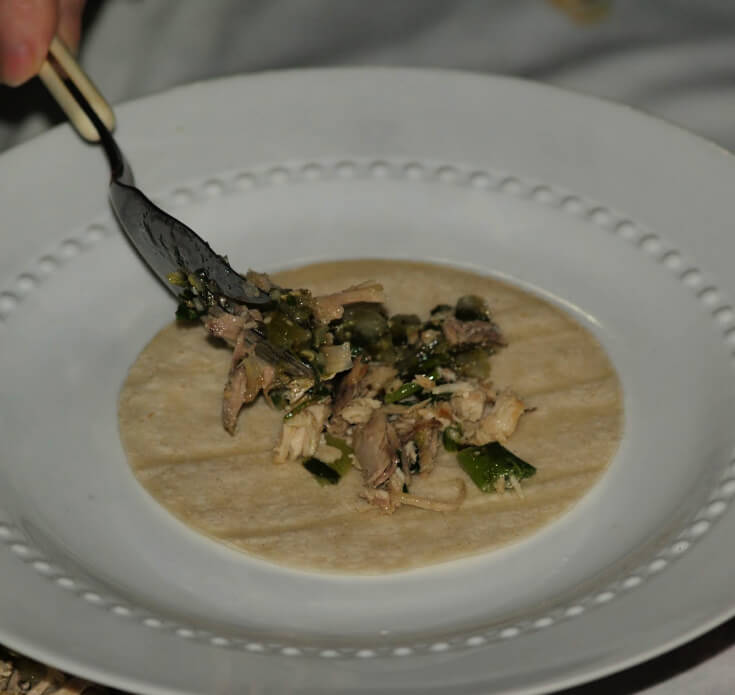 Shredded Chicken in Cilantro Sauce