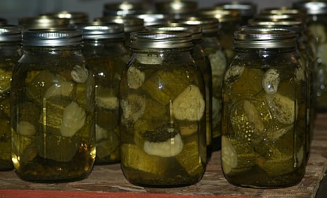 How to Make Dill Pickles