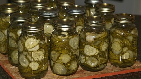 Easy Dill Pickle Recipe