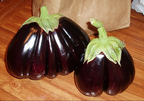 fresh eggplant