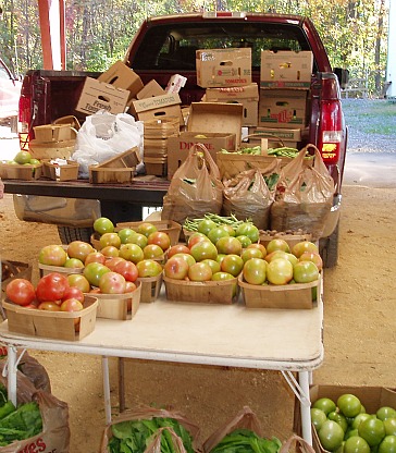 farmers market