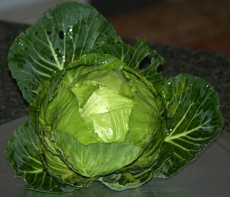 How to Cook Cabbage