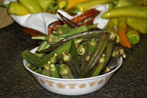 Fresh Picked Okra