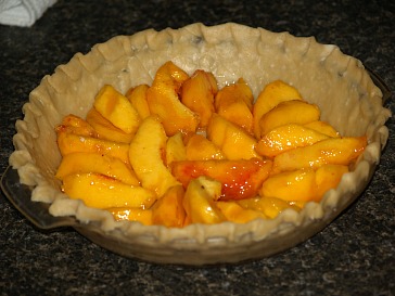 Arrange Peaches on the Bottom of a Pastry Lined Pie Plate