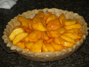 Arrange Peaches on the Bottom of a Pastry Lined Pie Plate