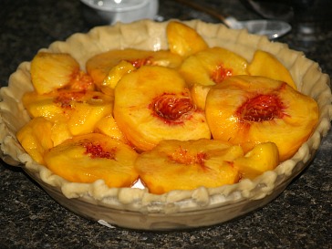 Place halved Peaches Half Way Up Pastry Shell