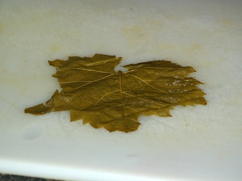 Grape Leaf