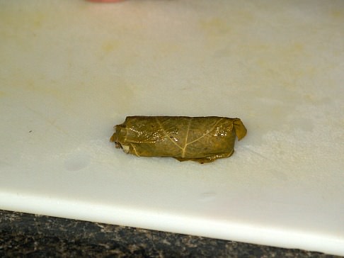 Step Five Rolled Grape Leaf