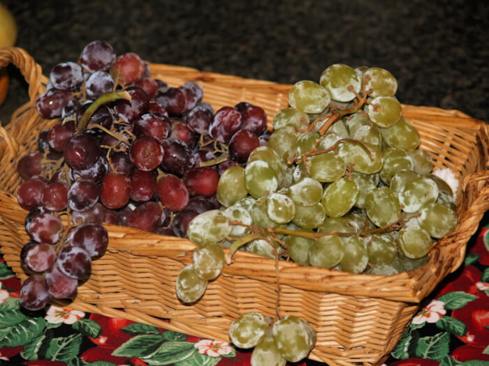 Grape Recipes