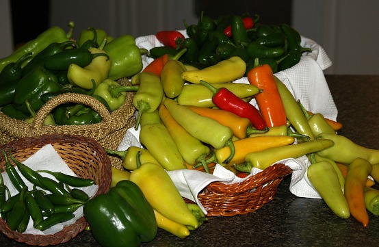 Hot Pepper Cooking