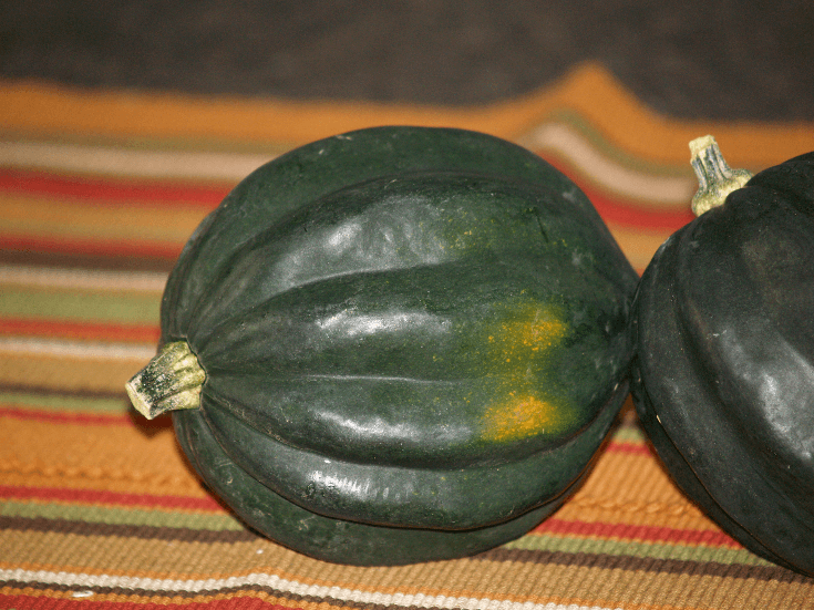 How to Cook Acorn Squash