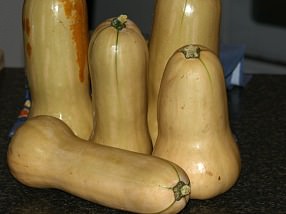 How to Cook Butternut Squash