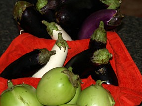 How to Make Eggplant Recipes
