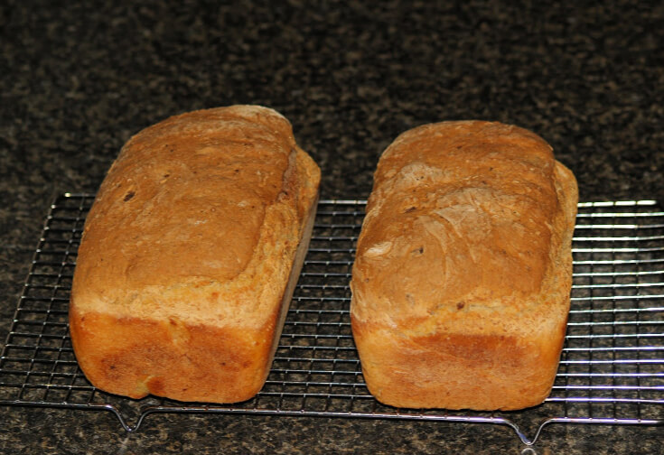 Crusty Vegetable Bread Recipe