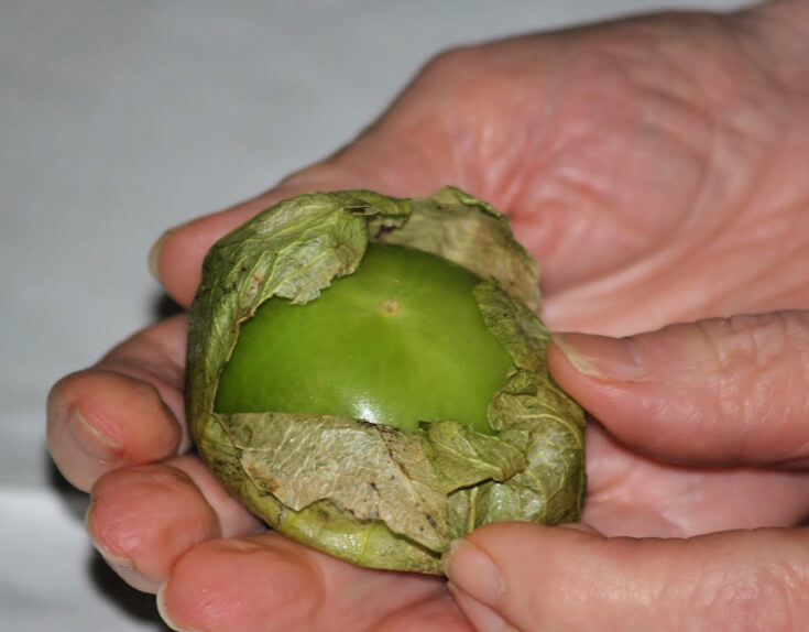 Tomatillo