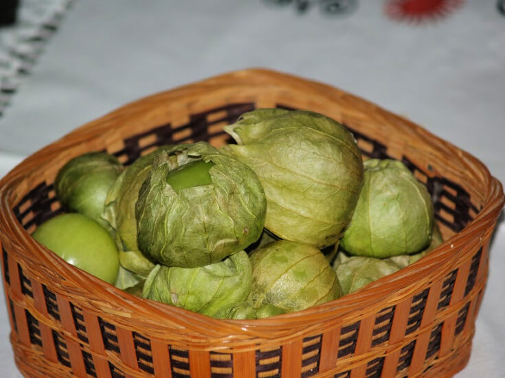 Tomatillo Recipes