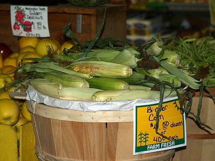 Fresh Corn on the Cob