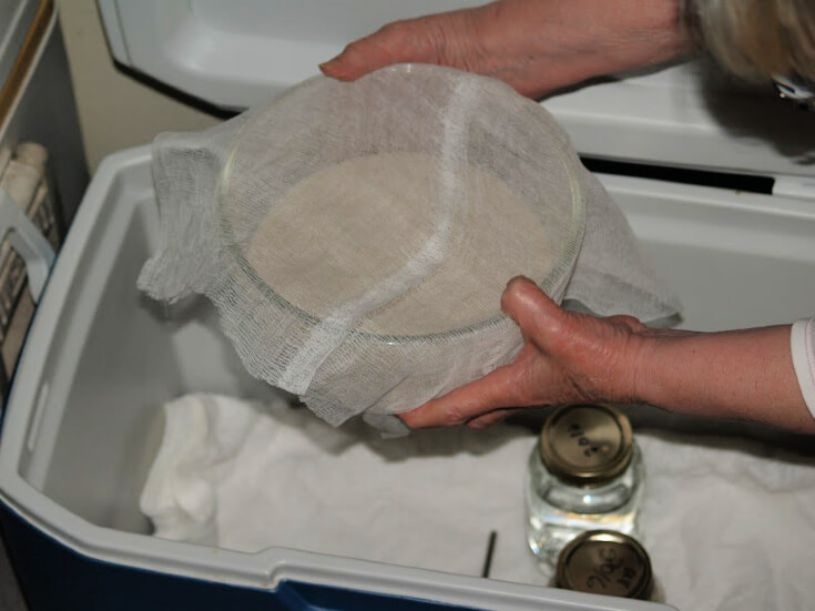 Preparing the Sourdough Starter