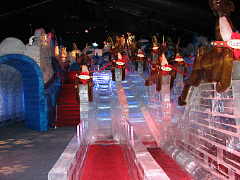 Ice Show