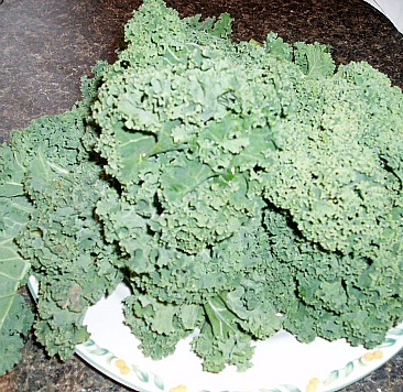 Fresh Kale