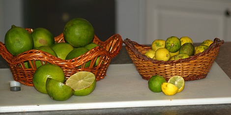 Limes and Key Limes