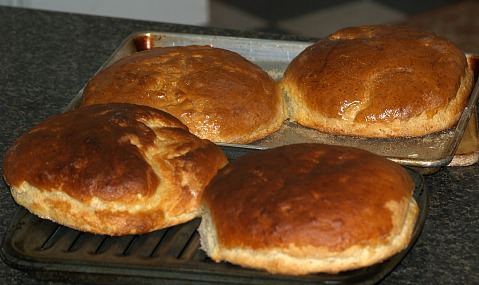 Hillbilly Potato Bread Recipe