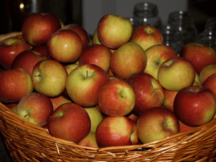 Canning Apples