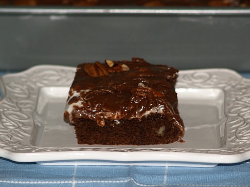 Mississippi Mud Cake