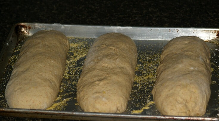My Favorite Squash Bread Ready to Bake