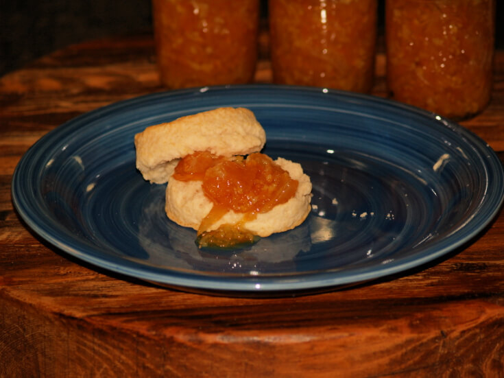 Orange Marmalade on a Biscuit