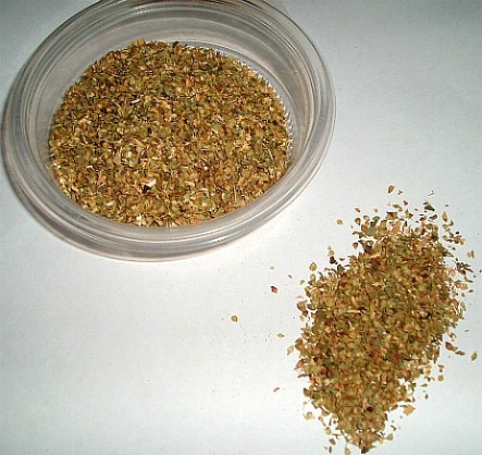 What is Oregano?