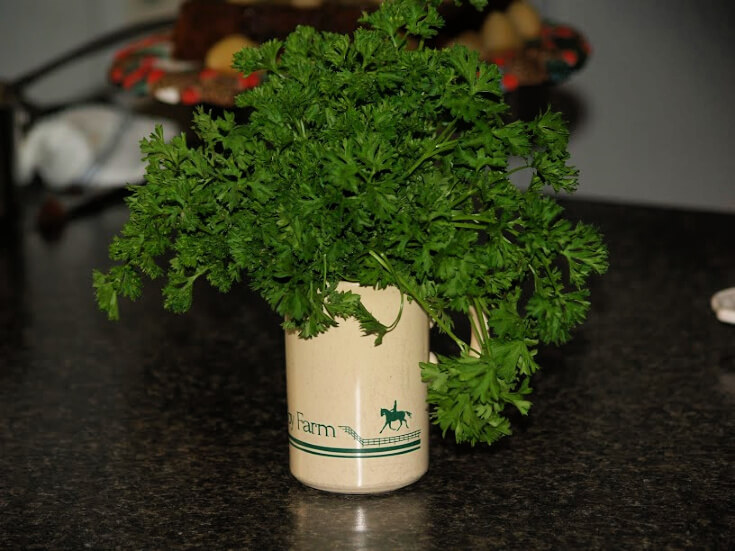 What is Parsley?