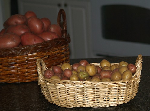 How to Cook Potatoes