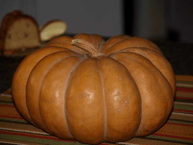 Pumpkin Pie Recipes