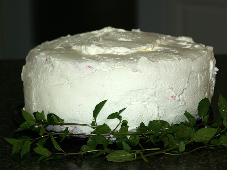 Rainbow Cake Recipe Frosted