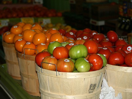 how to make recipes for fresh tomatoes