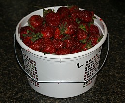 strawberries