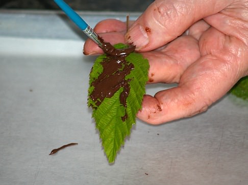 How to Make Chocolate Leaves